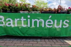 Bartiméus 9-5-26